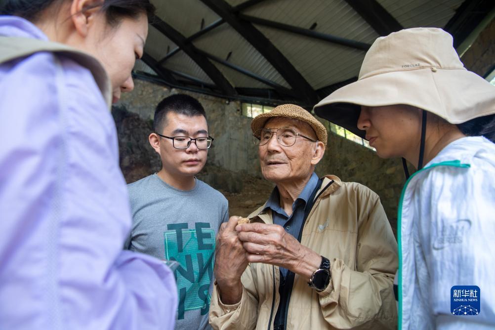 tongbo通博网站